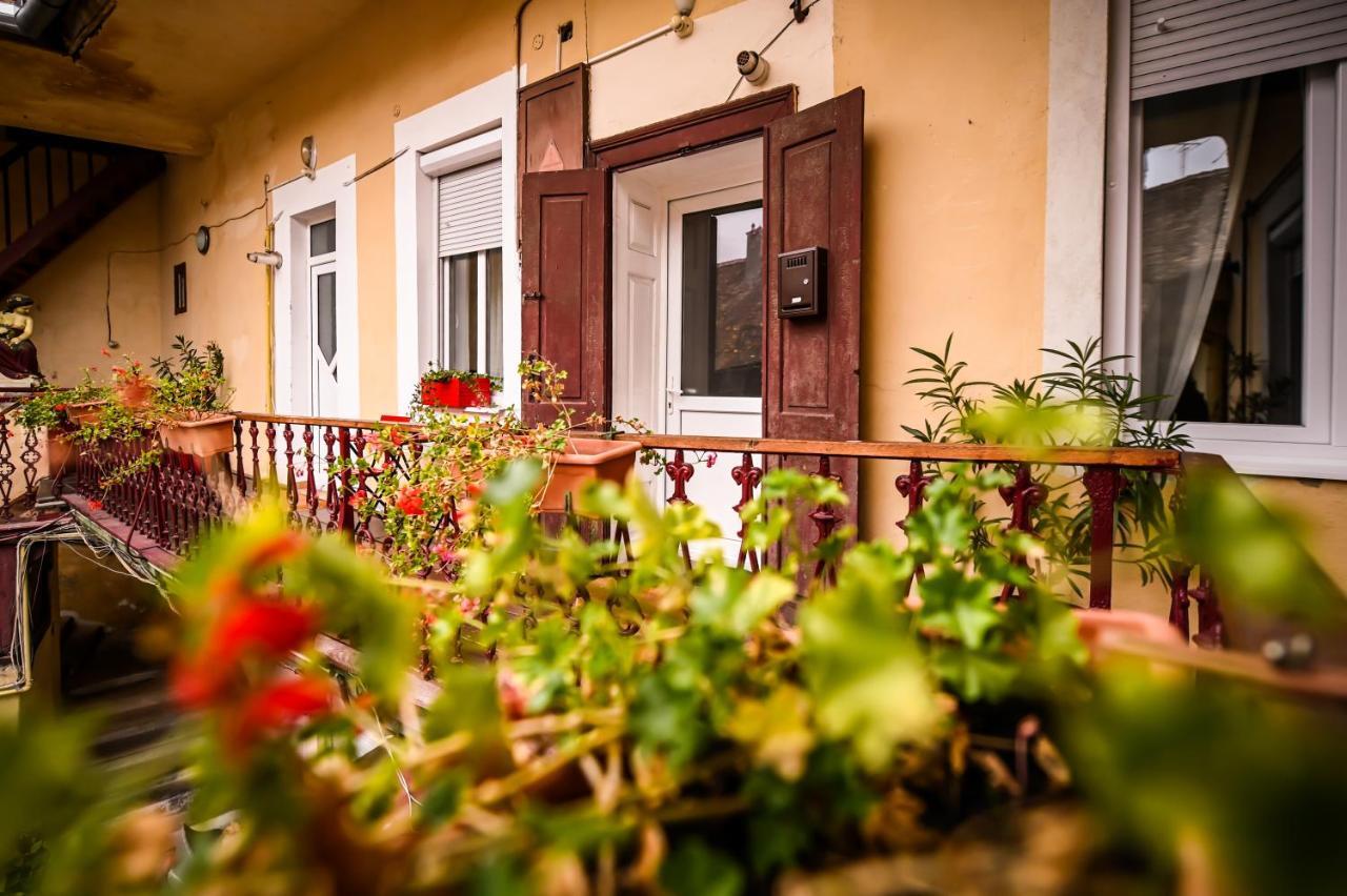 Jules' Sunny, Spacious And Central Apartment Sibiu Ngoại thất bức ảnh